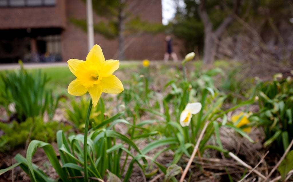 Springtime at Michigan Tech.