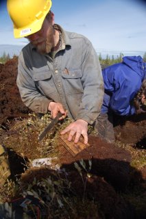 Evan Kane samples peat in Minnesota.