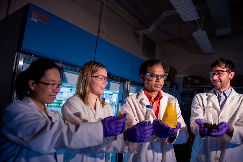 Chemist Tarun Dam and his students in his lab examine glycan-binding proteins, which are important in cancer and immune system research.