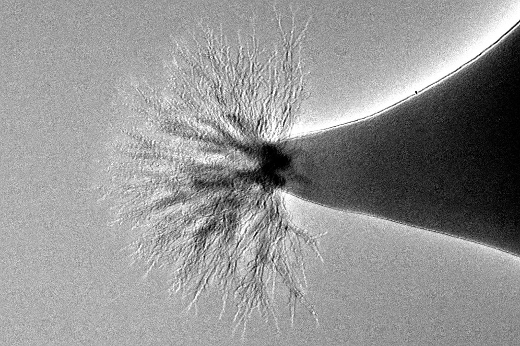 The tree-like formations in this molten salt formed under the high-radiation of a transmission electron microscope beam; the jet of ions from the material could serve as a thruster for a nanosatellite.