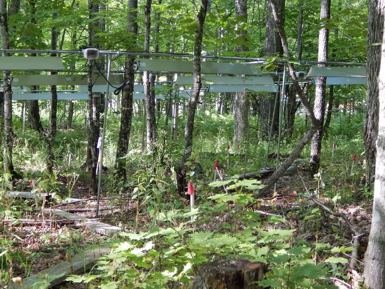 SMART soils sub-banner 1 Called SMART for Sugar Maple Altered Rainfall and Temperature, the research site operated from 2010 to 2014 with funding from the US Department of Energy and the USDA Forest Service.