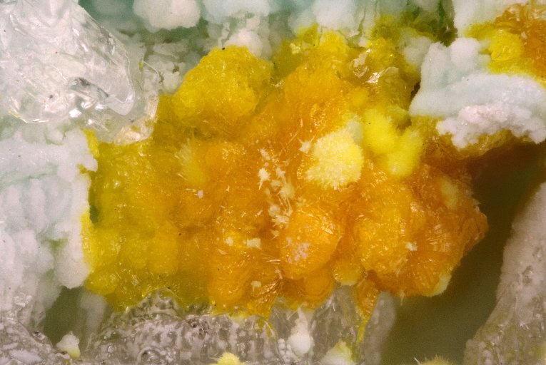 Uranyl minerals have distinct bright colors even after the uranium-rich ore interacts with air and water to form crusts like leesite. 