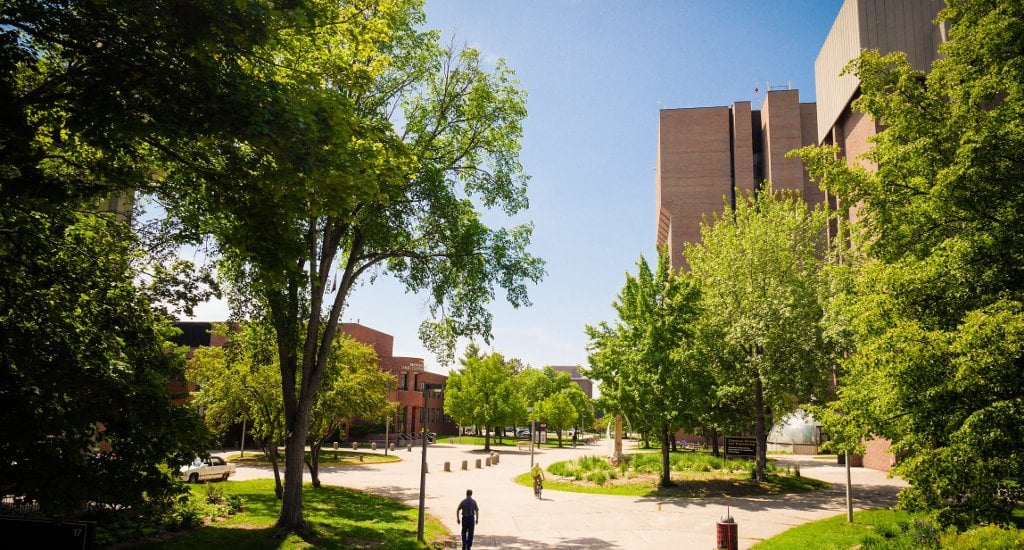 Michigan Tech leafs out in the spring.