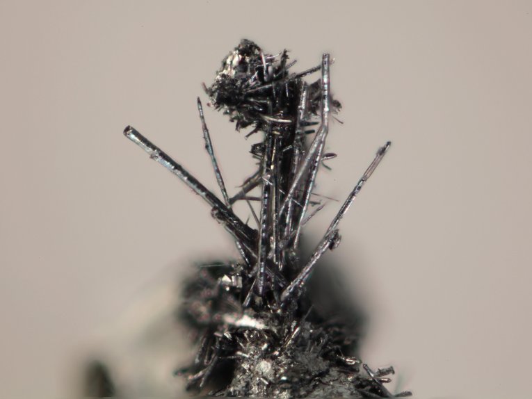 Merelaniite Whiskers The tiny whiskers, which look to the naked eye like very fine hairs on other larger crystals, have probably been regularly cleaned off their host rocks and overlooked.