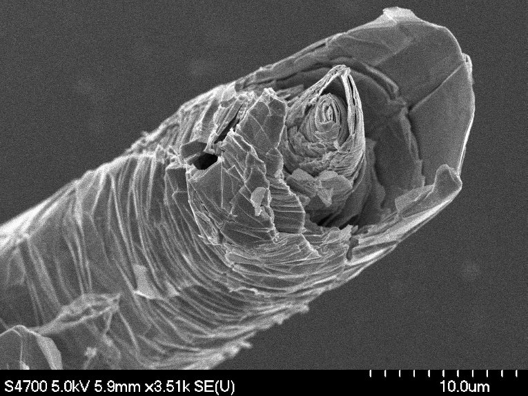 Scanning electron microscope images reveal merelaniite's scroll-like cylindrical structure, whose layers are a made of neatly stacked layers predominantly of molybdenum sulfide and lead sulfide.