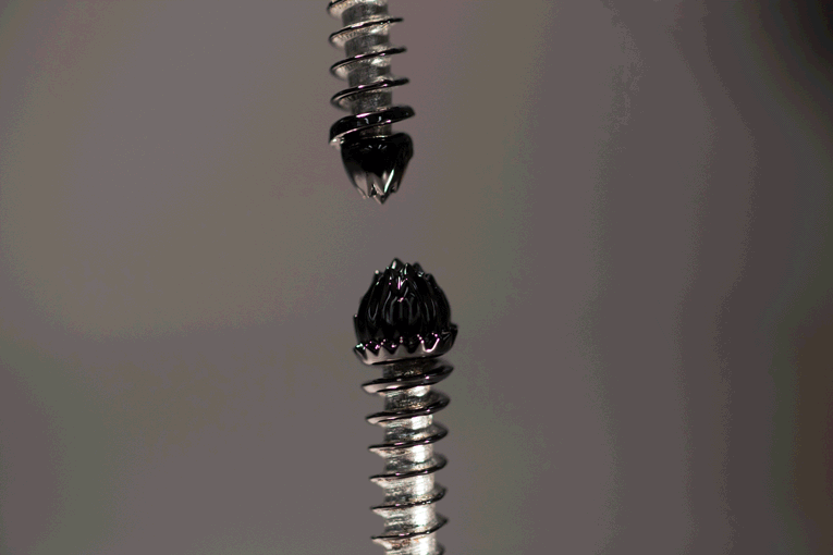 Two amounts of ferrofluid on the tips of screws coming into contact and blooming into a symmetric, multi-pointed arrangement