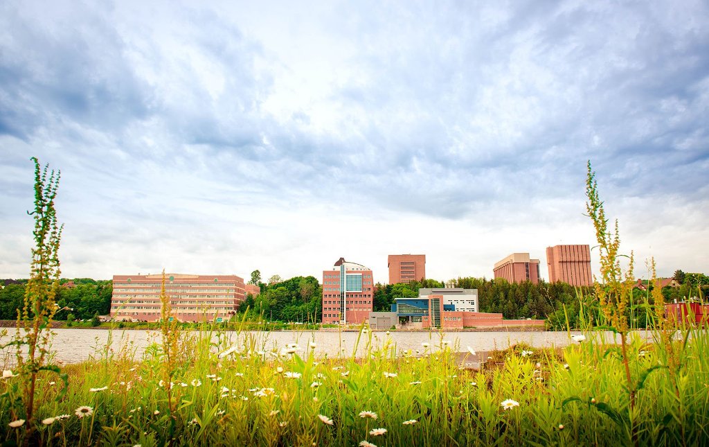 The Michigan Tech Board of Trustees, at a special meeting June 30, hired the firm of Storbeck/Pimentel & Associates, to assist in the search for a new president.