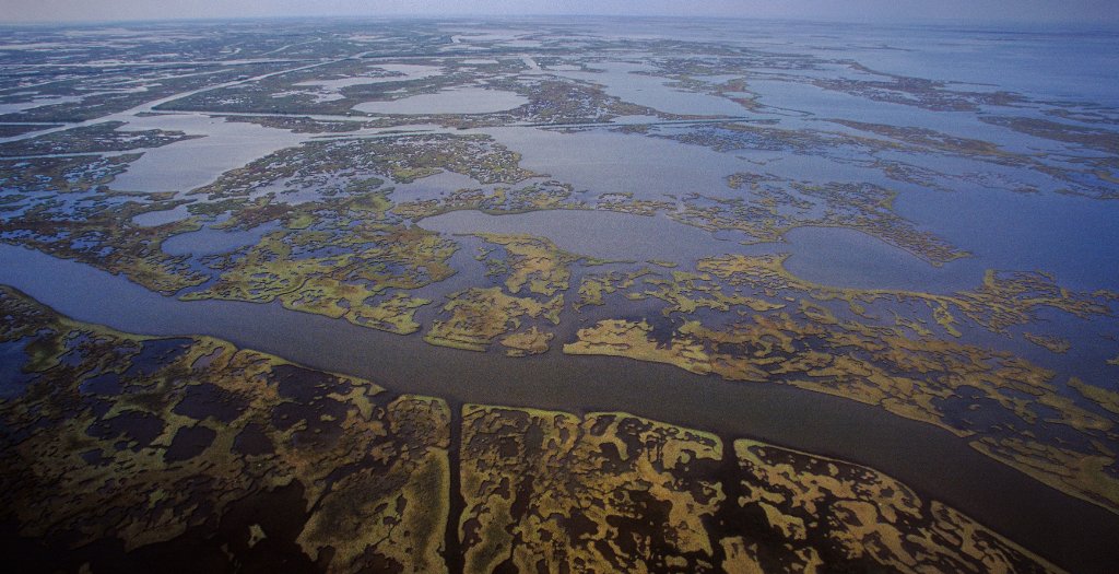 Louisiana marshlands 