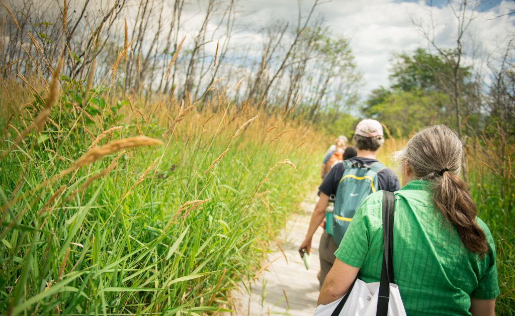 Students explore the edible landscape of Pilgrim River watershed.