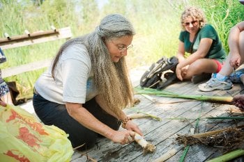 Local naturalist Karena Schmidt prepares cattails for sampling. 