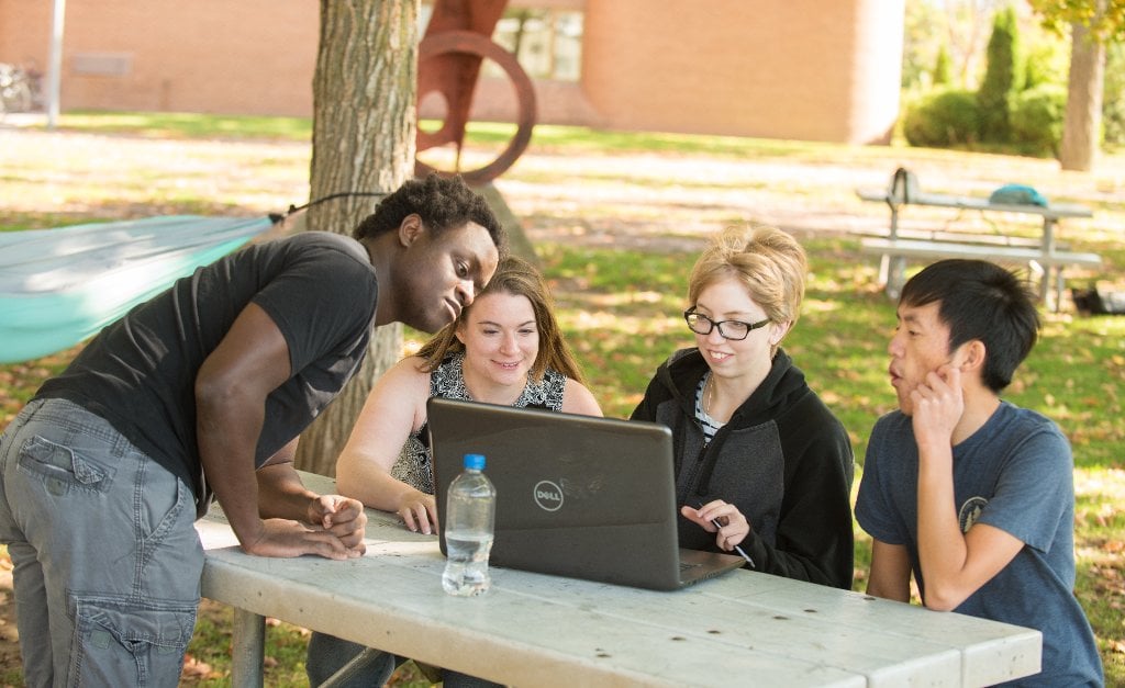 Students, faculty and staff have been invited to take the Students, faculty and staff are being invited to take the Working, Learning and Living assessment.