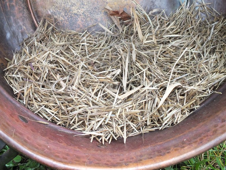 Harvested, dried manoomin doesn't look like rice until it's parched, jigged, winnowed and sorted.