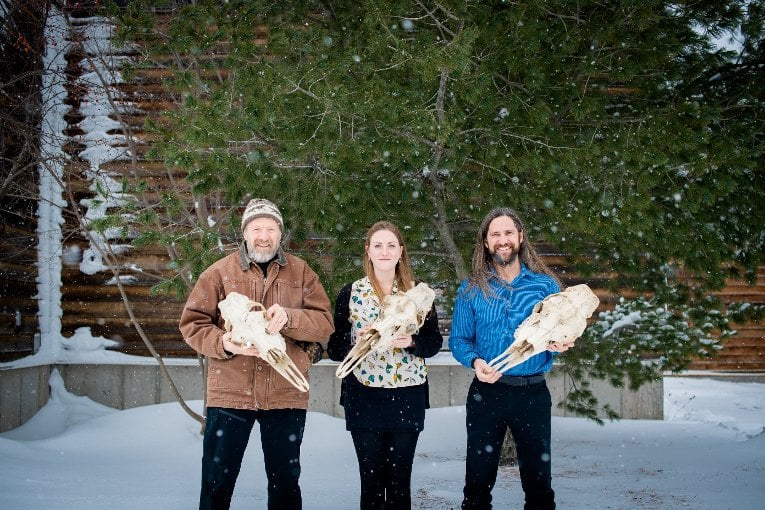 Ecologists Rolf Peterson, Sarah Hoy, John Vucetich