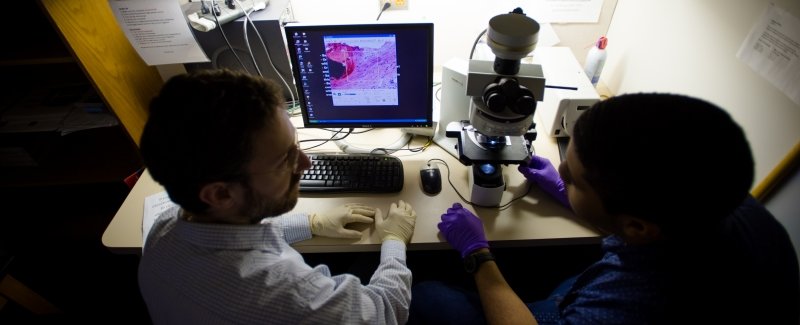 Researchers at a desk discuss an image displayed on the computer from a microscope.