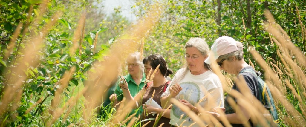 Terry Sharik offers his thoughts on the direction of education in natural resources.