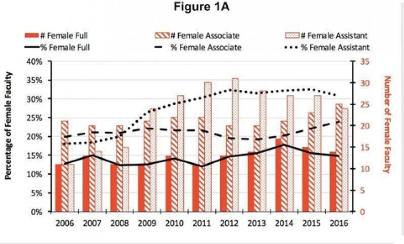 Female faculty chart.