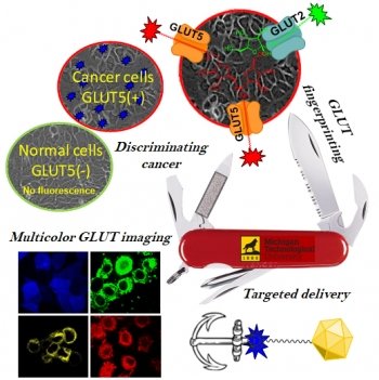 The tools splayed on a Swiss army knife connect to different scientific tools: fluorescent imaging, assays, different cancer cell types.
