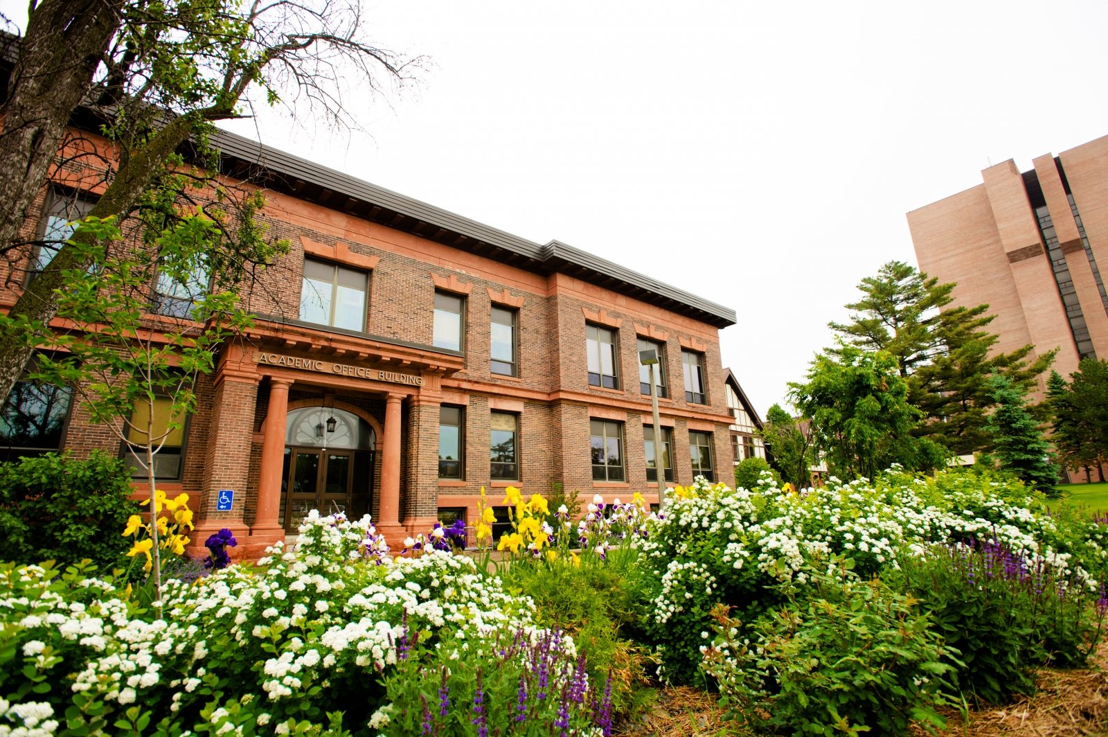 Academic Building in background. Irises and butterfly bushes in full bloom in foreground.