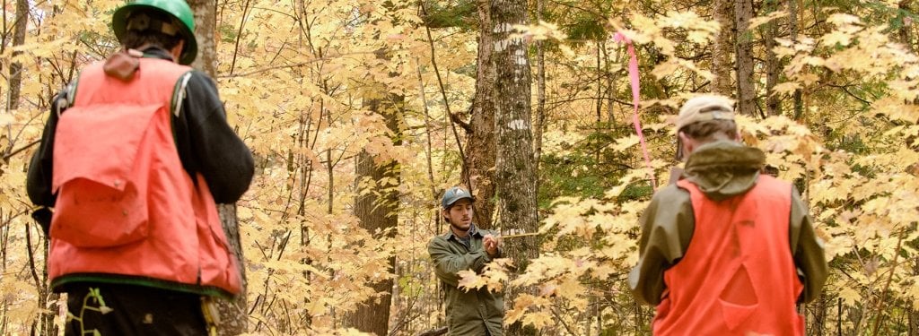 Andrew Storer, associate dean of the School of Forestry and Environmental Science at Michigan Technological University, will become dean of the School on July 1.