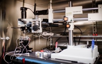 An microscope under a vent hood in a laboratory.