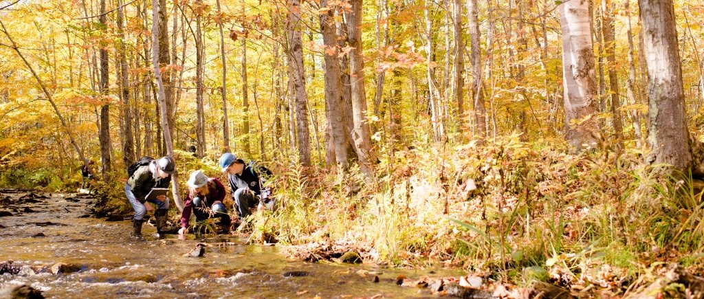 Three researchers in hard hats kneel next to a river in the woods