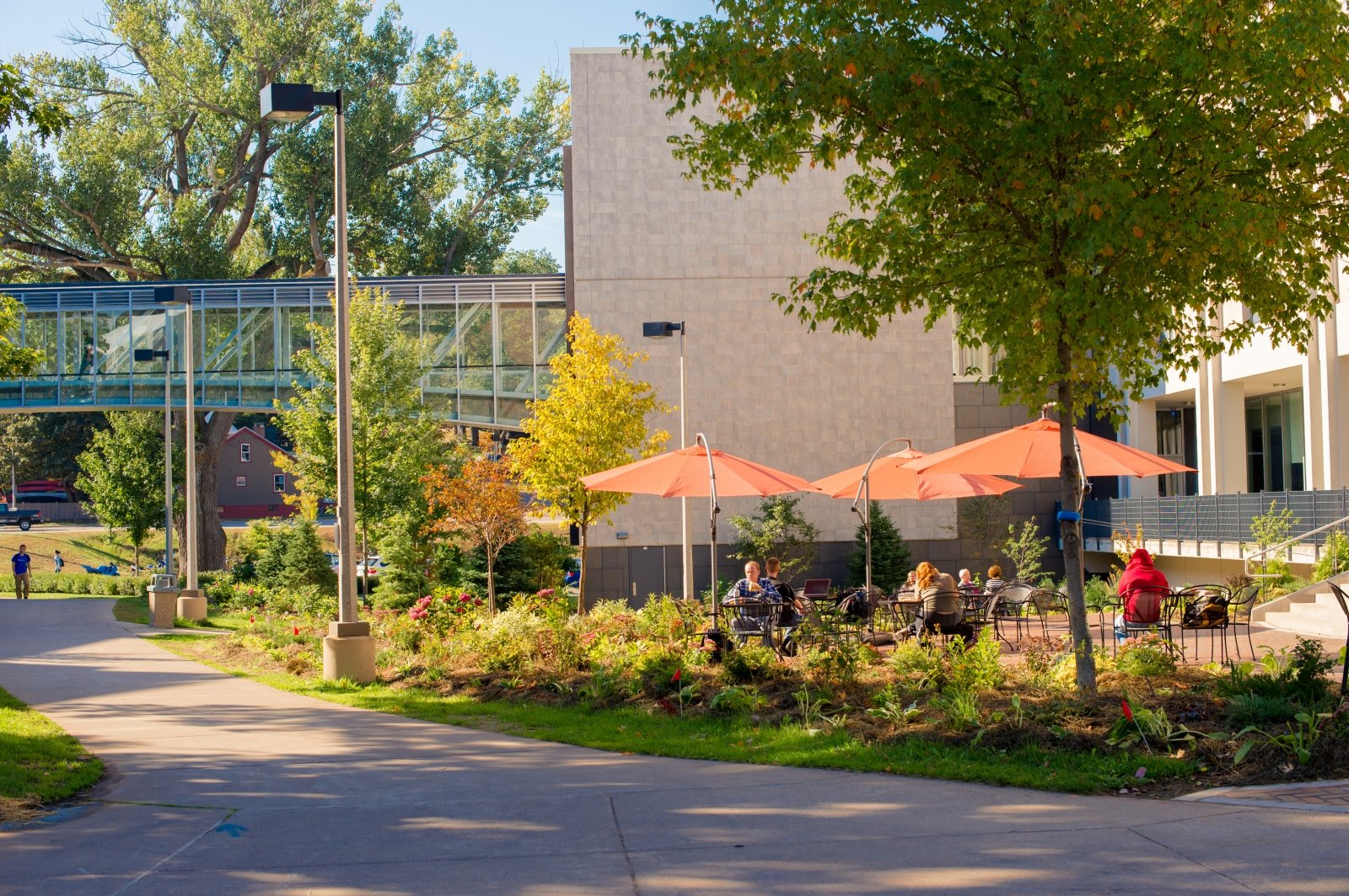 Outdoor library cafe. Center of campus. 