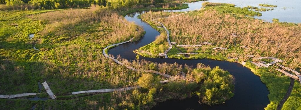 The June flood pushed many of the boardwalks at the Nara Nature Park away from their original locations. Image Credit: Adam Johnson/Brockit Photography