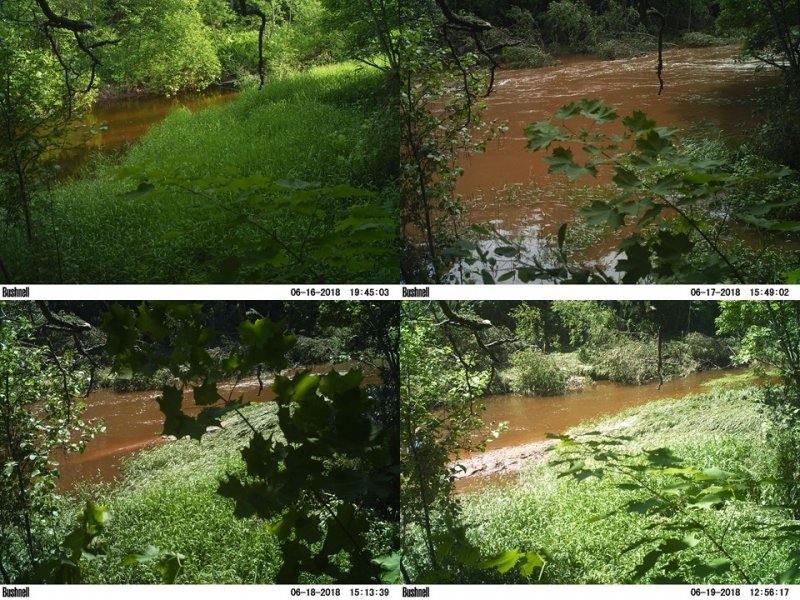 A four-photo montage that shows how the water rose and receded on the Pilgrim River from June 16-19. Images show river rising and receding.