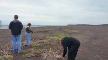 three students pick up sand samples