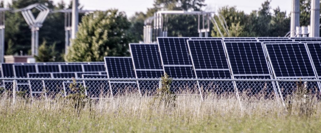 rows of solar panels next to a tall field of grass