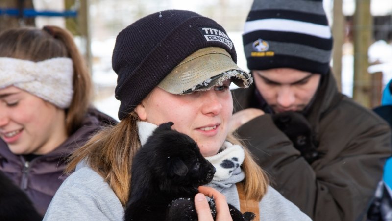 three students hold adorable little Alaskan husky puppies outside in the snow.