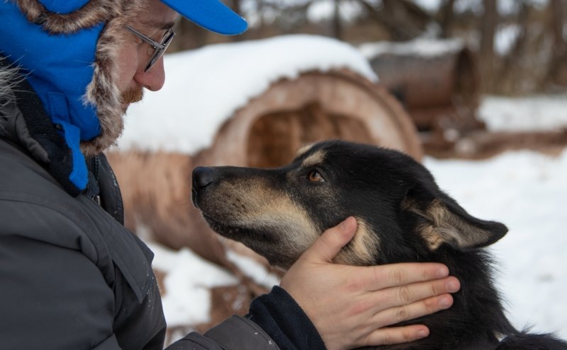 A young man and a husky closeup with the man's