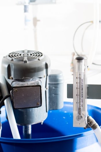tubes and small blue cylinder make up a carbon dioxide scrubber
