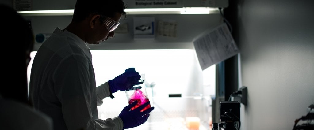 man in lab with beaker of pink solution