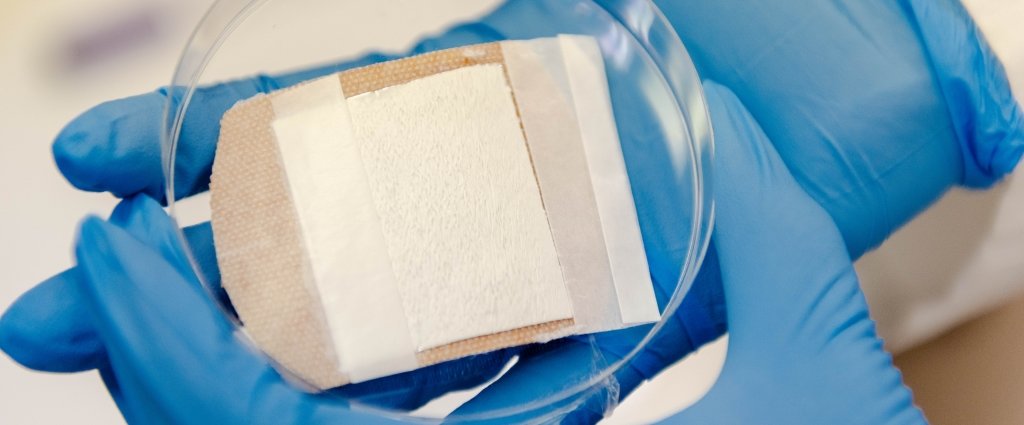 white material in a petri dish held by a person wearing blue gloves