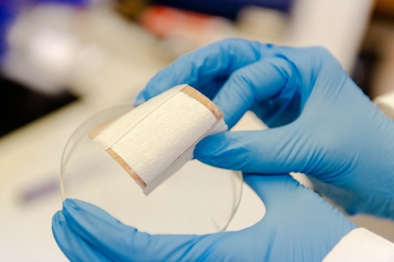 white material held in a blue lab glove