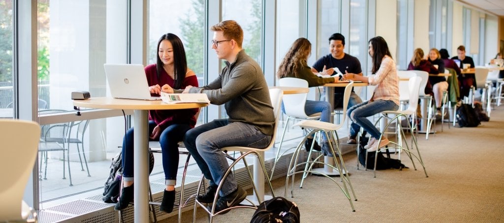 Michigan Tech students study at high tables at the Van Pelt and Opie Library