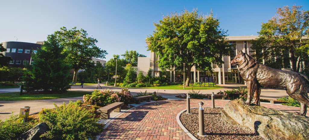 Michigan Tech campus, including husky statue, at dawn