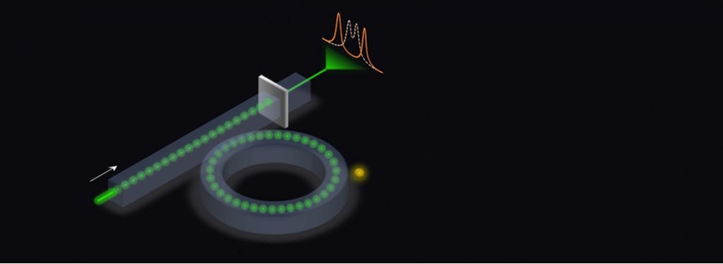 A graphic representation of a microring sensor.