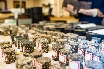 cores of asphalt on a lab table