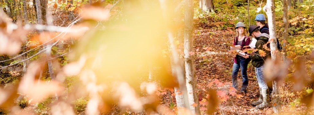 Three people wearing hardhats stand in a forest clearing.