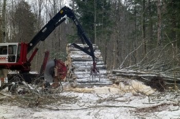 A slasher picks up harvested trees and prepares them for pickup by cutting them to size.