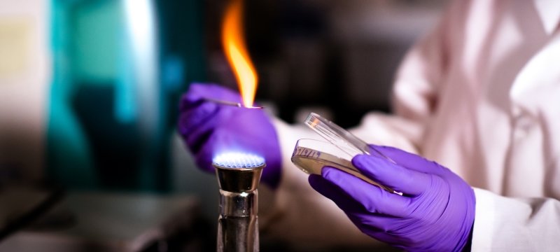chemistry lab, petri dish with bunson burner flame