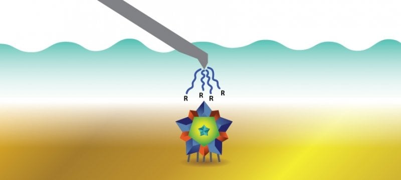 graphic rendering of a microscope tip and virus shell