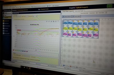 computer screen with RNA extraction data