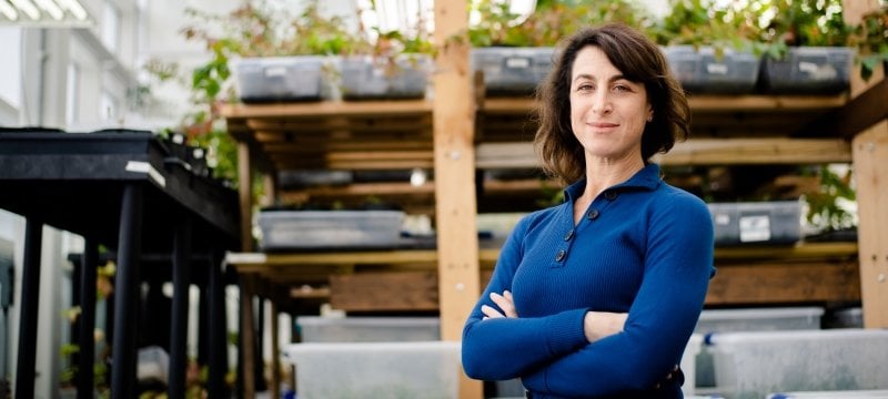 A woman with crossed arms stands in a greenhouse.