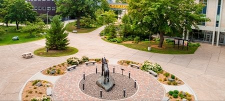 Four candidates for the position of Vice President for Diversity and Inclusion will visit the Michigan Tech campus over the next several weeks. Each will be featured in a Zoom meeting.