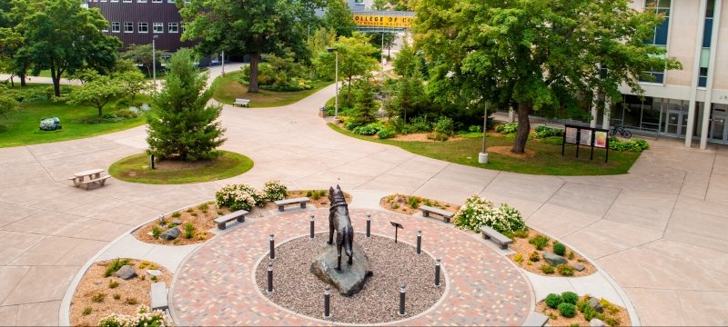 Overhead view of Husky statue from behind