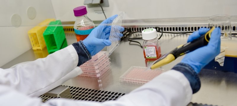 A person's hands uses a multi-pipette tool to put vaccines into dosage trays.