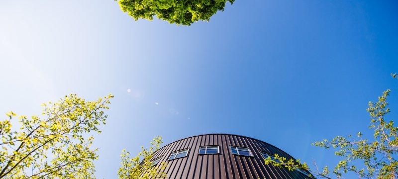 A building rises toward the sky, framed by three trees that are leafing out.